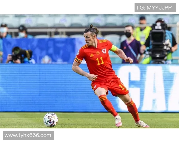 美国与土耳其精彩对决视频直播黑白画面解析与观赛体验分享