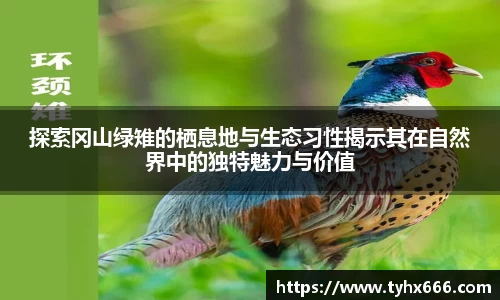 OD体育官方网址