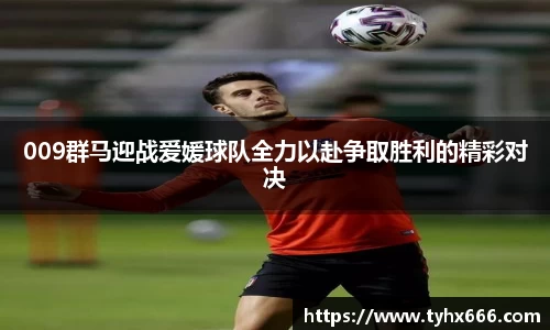009群马迎战爱媛球队全力以赴争取胜利的精彩对决